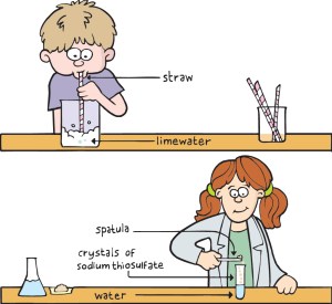 Science for Life 1 Gallery