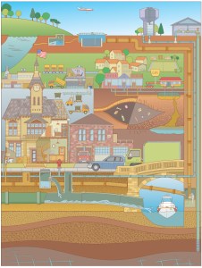 Cross Section Gallery