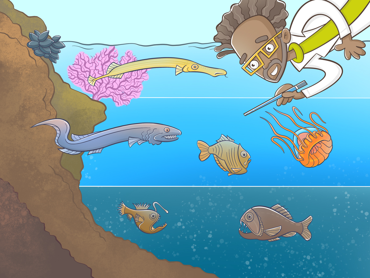 Scientist pointing to ocean layers and the fish they support